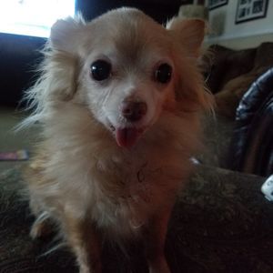 Meet your Posher, Lynette